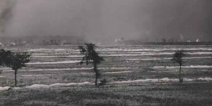 Gaas Loosi lahinguväljal, 1915.