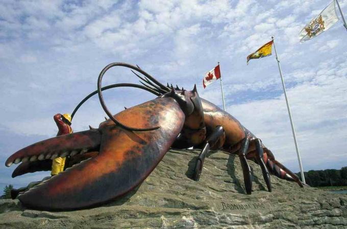 Maailma suurim homaar, New Brunswick / Walter Bibikow / Photolibrary / Getty Images