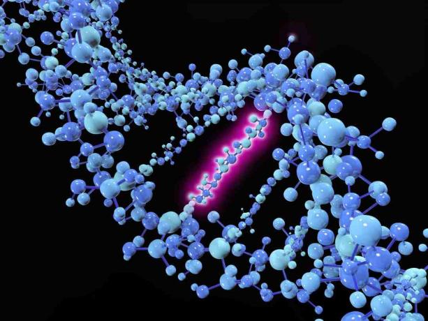 Punktmutatsioon on geneetiline mutatsioon, kus üksik nukleotiidi alust muudetakse, sisestatakse või kustutatakse DNA või RNA järjestusest.