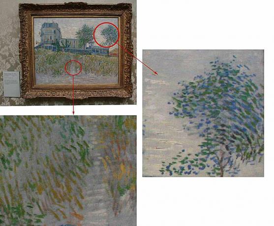 Vincent van Gogh (Ashmoleani muuseum)