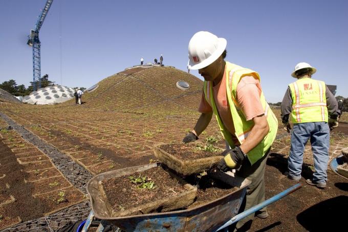 California teaduste akadeemias elavat katust ehitavad töömehed