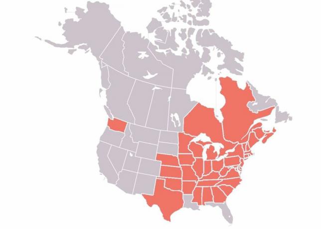 Valge nina sündroomi levik Põhja-Ameerikas 2018. aastal.