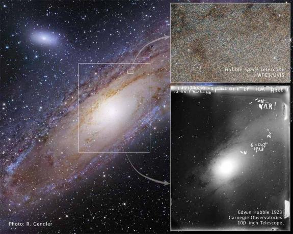 Andromedas olevat Cepheidi muutujat, mida Hubble täheldas.
