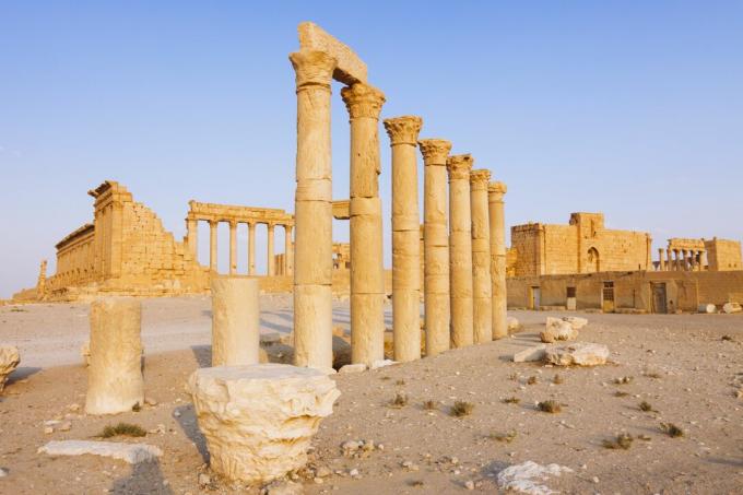 Palmyra, Suur kolonisaad ja Beli tempel