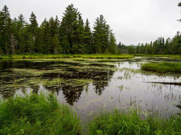 Katahdin metsade ja vete rahvusmonument