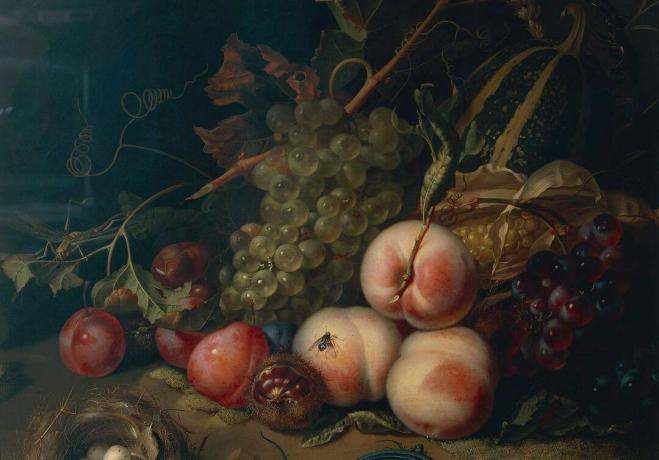 Comp Save to Board Itaalia, Firenze, Natüürmort puuviljade ja putukatega, autor Rachel Ruysch, 1711, õli lõuendil, detail