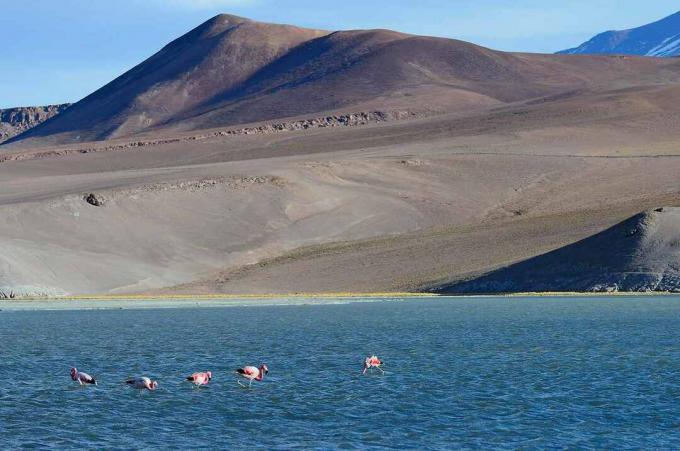 Atacama, Tšiili