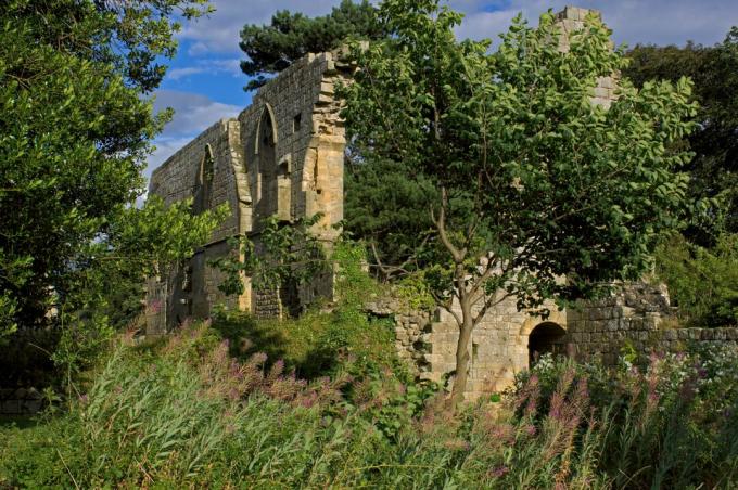 Jervaulxi klooster, Mashami lähedal, Põhja-Yorkshire, Inglismaa