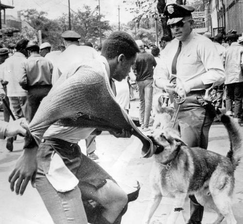 Mustanahalist Ameerika meeleavaldajat ründas politseikoer segregatsioonivastaste meeleavalduste ajal Birminghamis, Alabamas, 4. mail 1963.