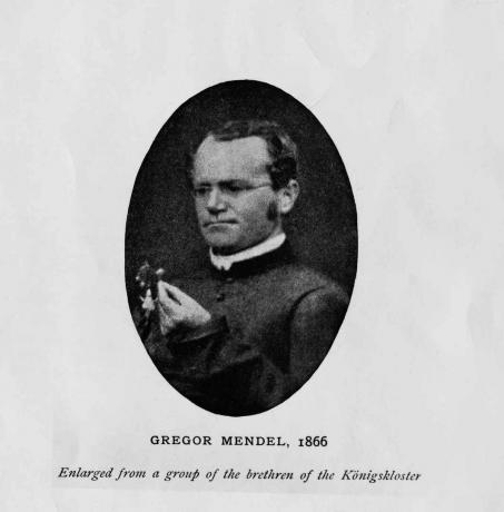 Austria botaanik Gregor Mendel