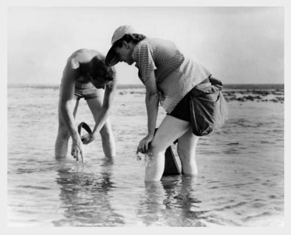 Rachel Carson ja Bob Hines viivad läbi Floridas merebioloogia uuringuid