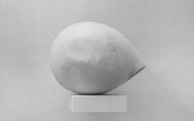 Constantin Brancusi Prometheuse juht