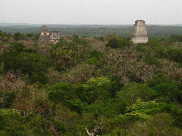 Tikal - mässuliste baas