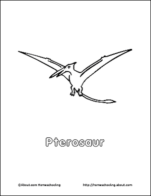 Pterosaurused: lendavad roomajad