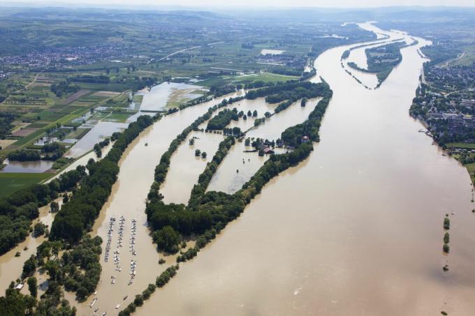 Saksamaa, Hessen, Eltville, Reini jõe Koenigskling Aue jõe üleujutus, aerofoto