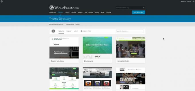 Lucky For You, WordPressil on saadaval palju häid ja tasuta teemasid