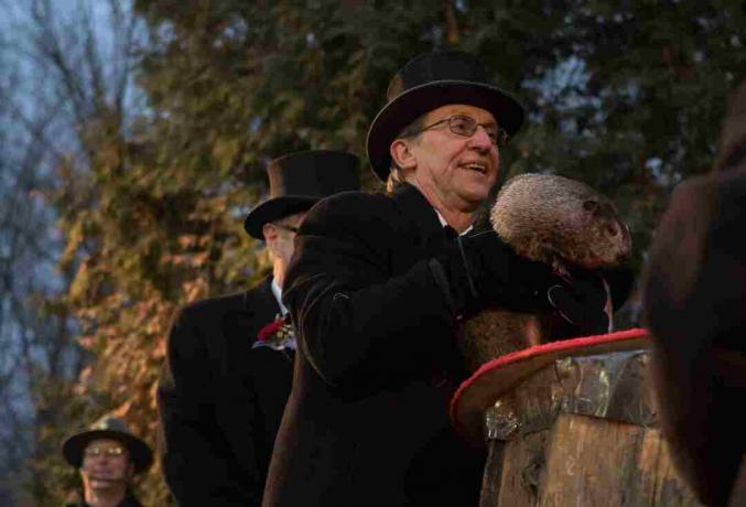 Muruplatsi päev Punxsutawney osariigis Pennsylvanias